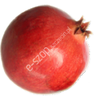 Owoc granatu (1 szt)