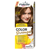 Palette Color Shampoo Szampon koloryzujący Jasny brąz 231 (1 szt)
