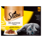 Sheba Delikatesse in Gelee Karma pełnoporcjowa (12x85 g)
