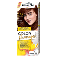 Palette Color Shampoo Szampon koloryzujący kasztan 236 (1 szt)