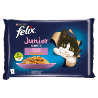 Felix Fantastic Junior Karma dla kociąt wybór smaków w galaretce z kurczakiem i łososiem (4x85 g)